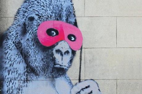 cheeky-gorilla